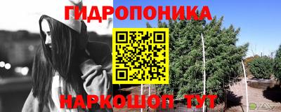 прущие грибы Конаково